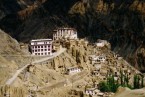 Leh Local